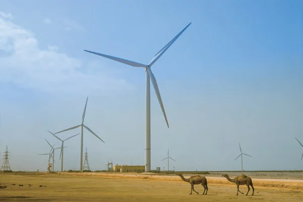 Tenaga-49.5MW-Wind-Project,-Pakistan